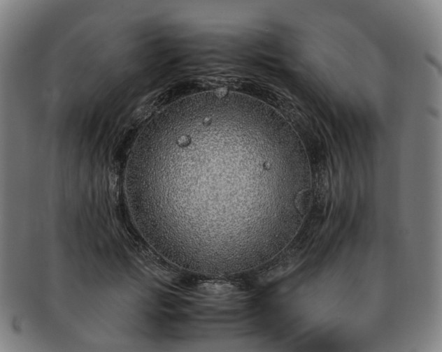 X0000091490749200708231422