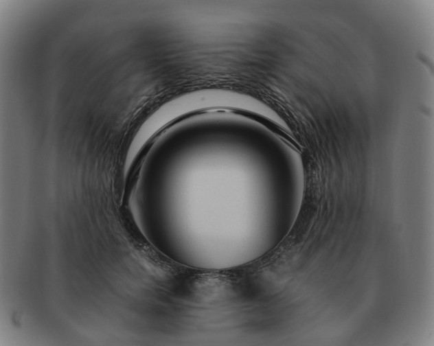 X0000091490750200708231422