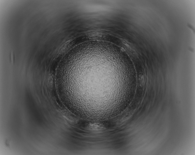 X0000091490753200708231422