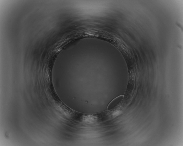 X0000091490754200708231422