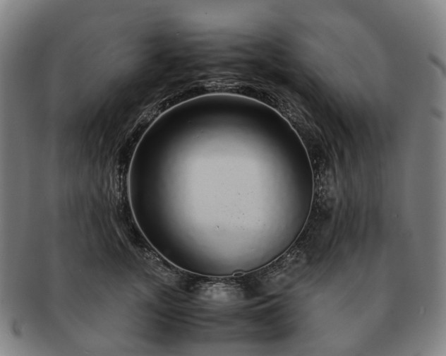 X0000091490755200708231422