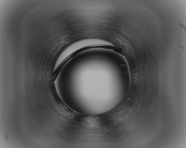 X0000091490756200708231422