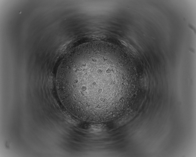 X0000091490757200708231422