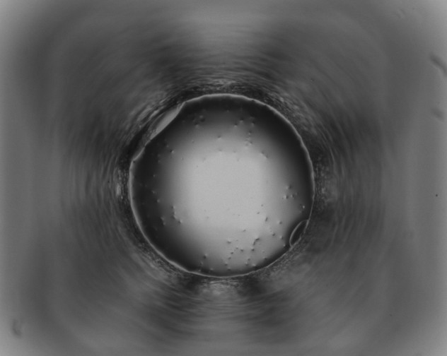 X0000091490758200708231422