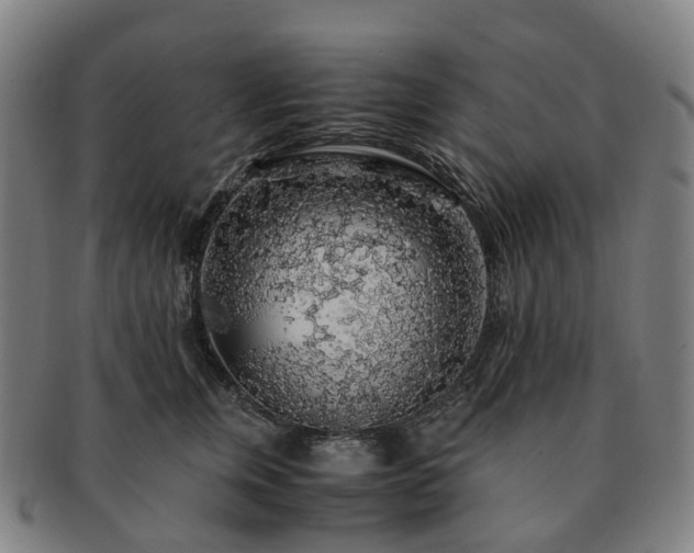 X0000091490759200708231422