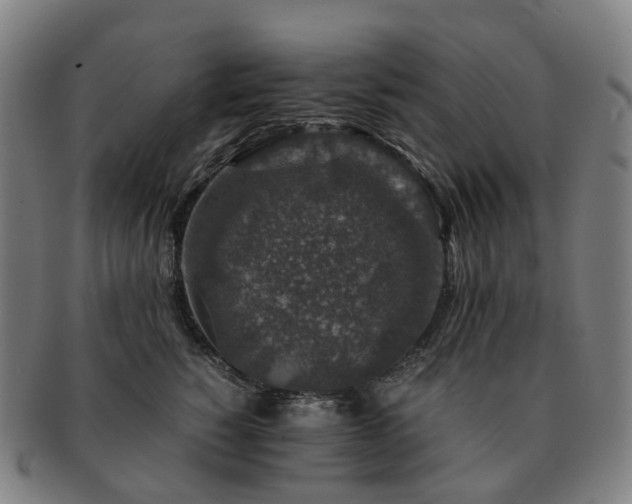 X0000091490760200708231422