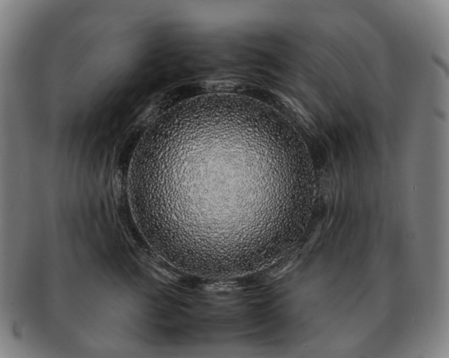X0000091490761200708231422
