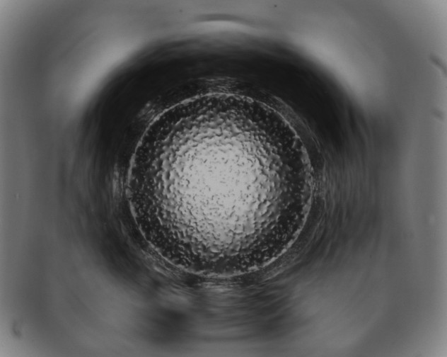 X0000091490763200708231422