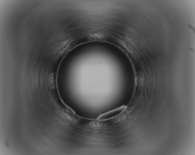 X0000091490764200708231422