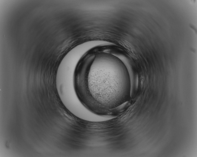 X0000091490766200708231422