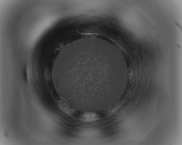 X0000091490767200708231422