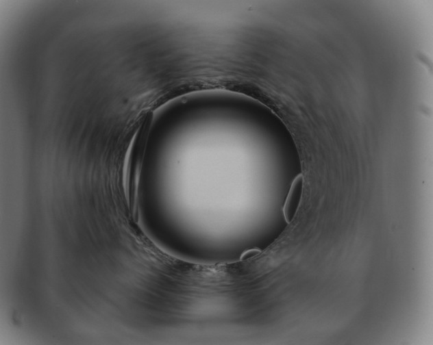 X0000091490768200708231422