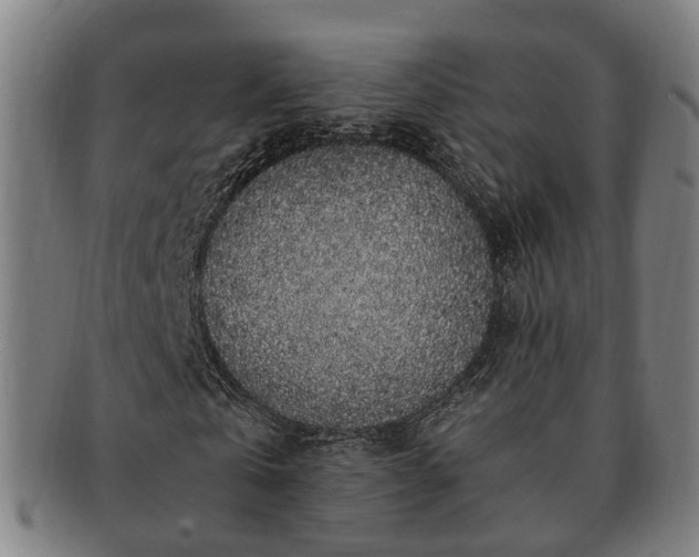 X0000091490769200708231421