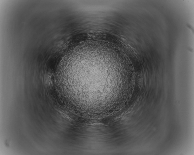 X0000091490770200708231421