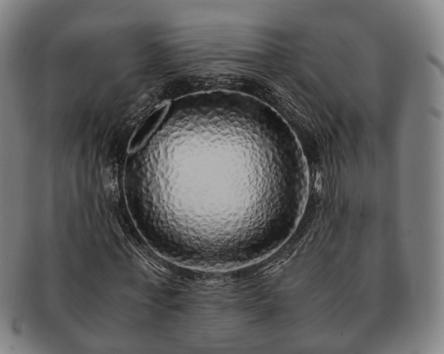 X0000091490771200708231421