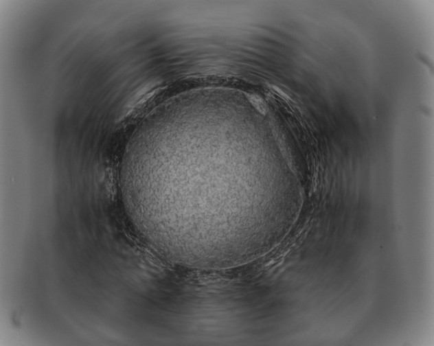 X0000091490774200708231421