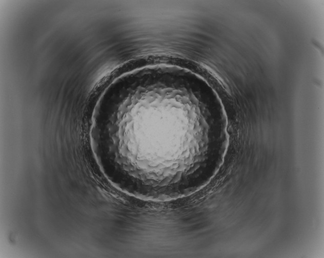 X0000091490775200708231421