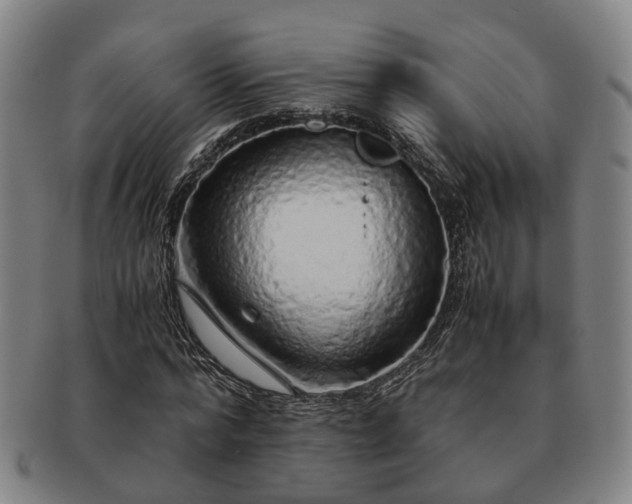 X0000091490776200708231421
