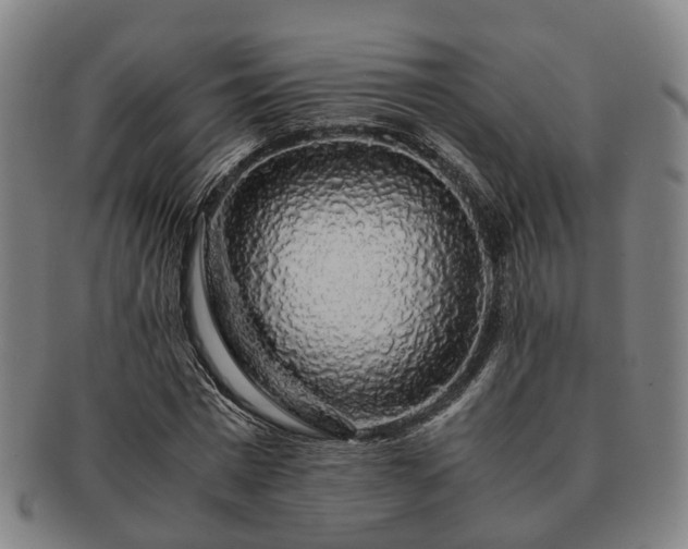 X0000091490777200708231421