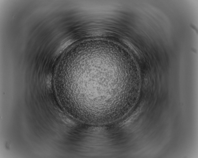 X0000091490778200708231421