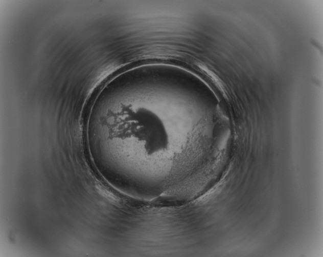 X0000091490779200708231421