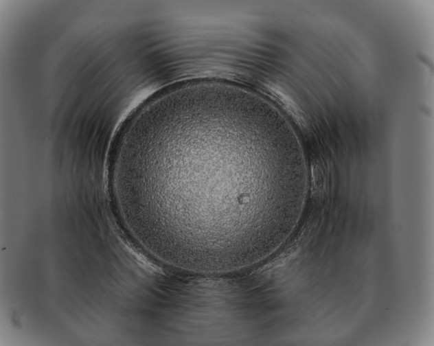 X0000091490780200708231421