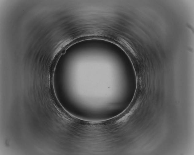 X0000091490781200708231421