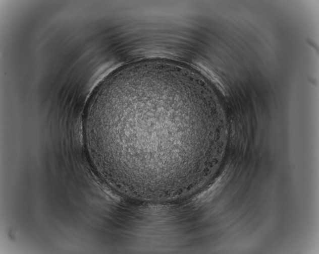 X0000091490782200708231421