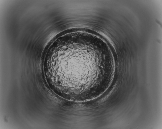 X0000091490783200708231421