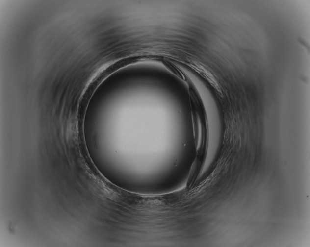 X0000091490784200708231421
