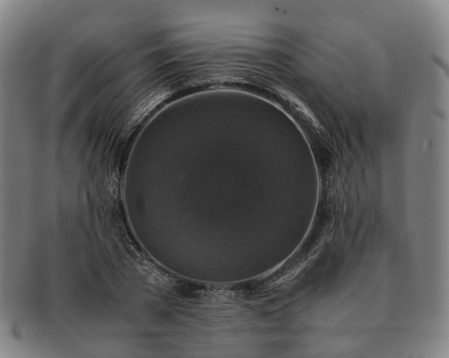 X0000091490785200708231421