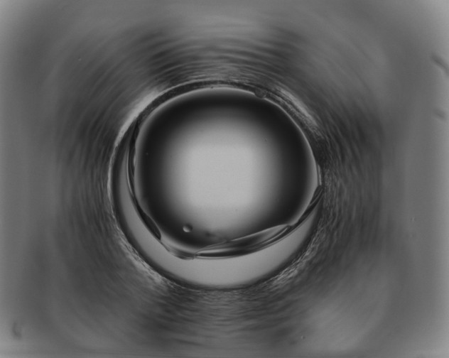 X0000091490788200708231421