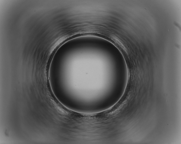 X0000091490789200708231421
