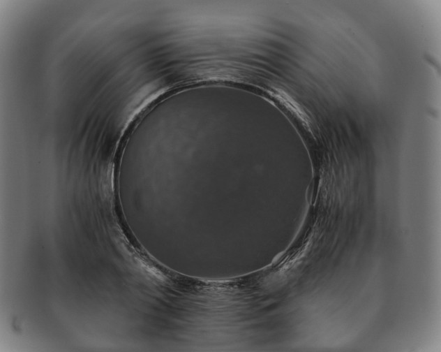 X0000091490790200708231421