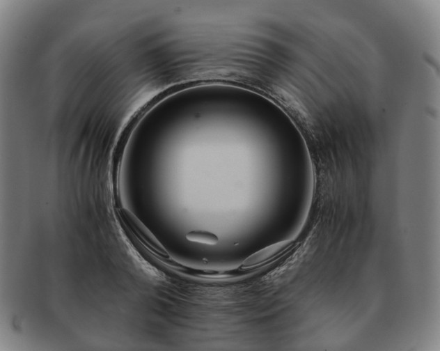 X0000091490792200708231421