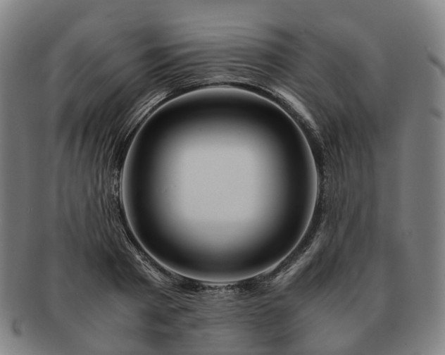 X0000091490793200708231421