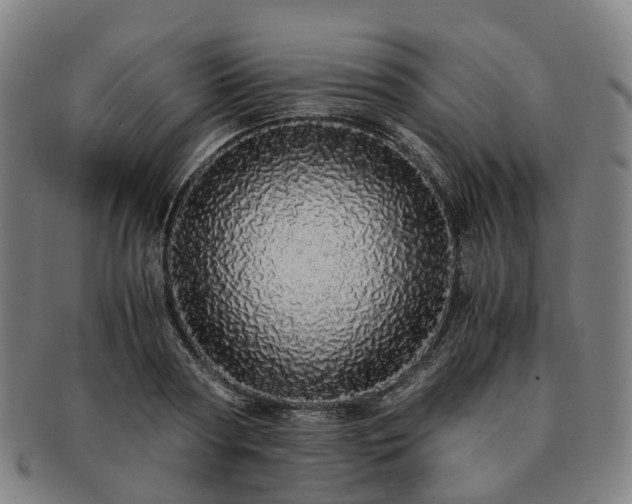 X0000091490794200708231421