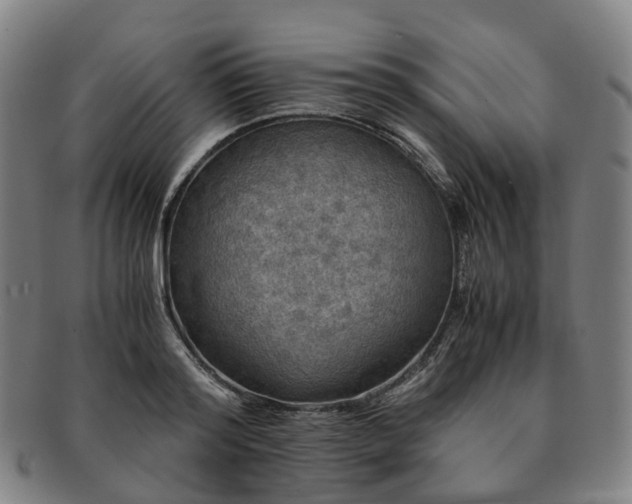 X0000091490796200708231421
