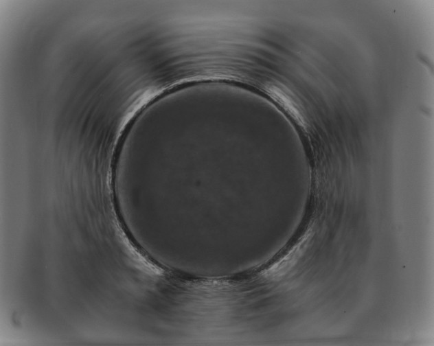 X0000091490797200708231421