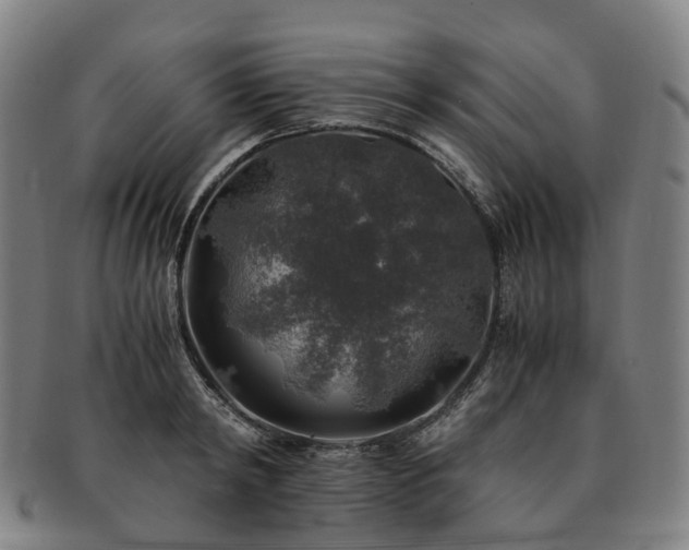 X0000091490798200708231421