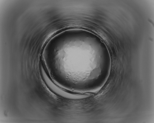 X0000091490799200708231421