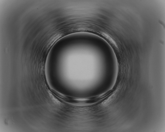 X0000091490801200708231421