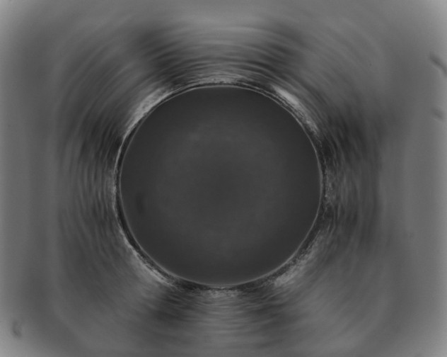 X0000091490802200708231421