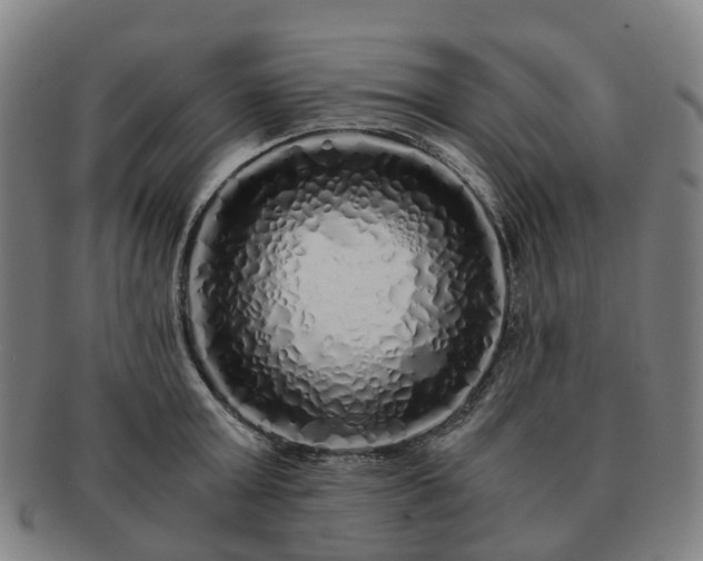 X0000091490803200708231421