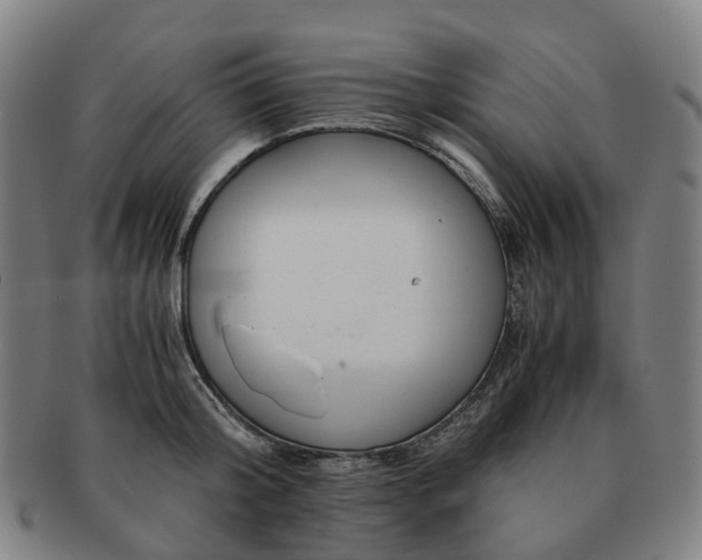 X0000091490804200708231421