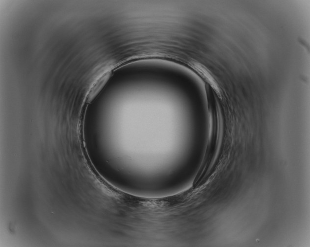 X0000091490805200708231421