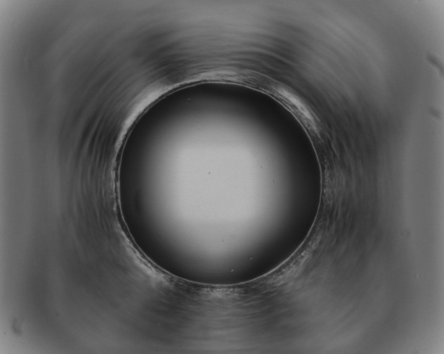 X0000091490808200708231421