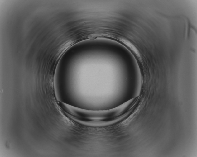 X0000091490809200708231421