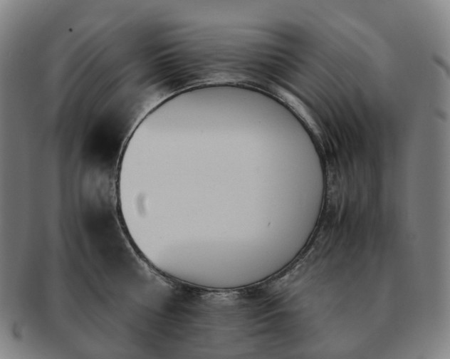 X0000091490810200708231421