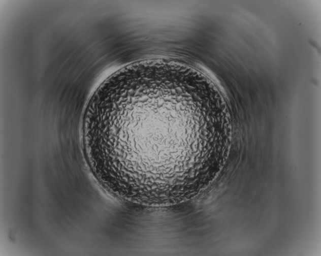 X0000091490811200708231421